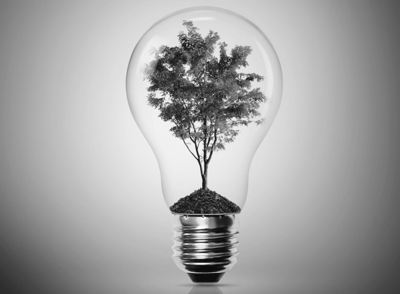 Photo credit (image adapted): Matt Walker